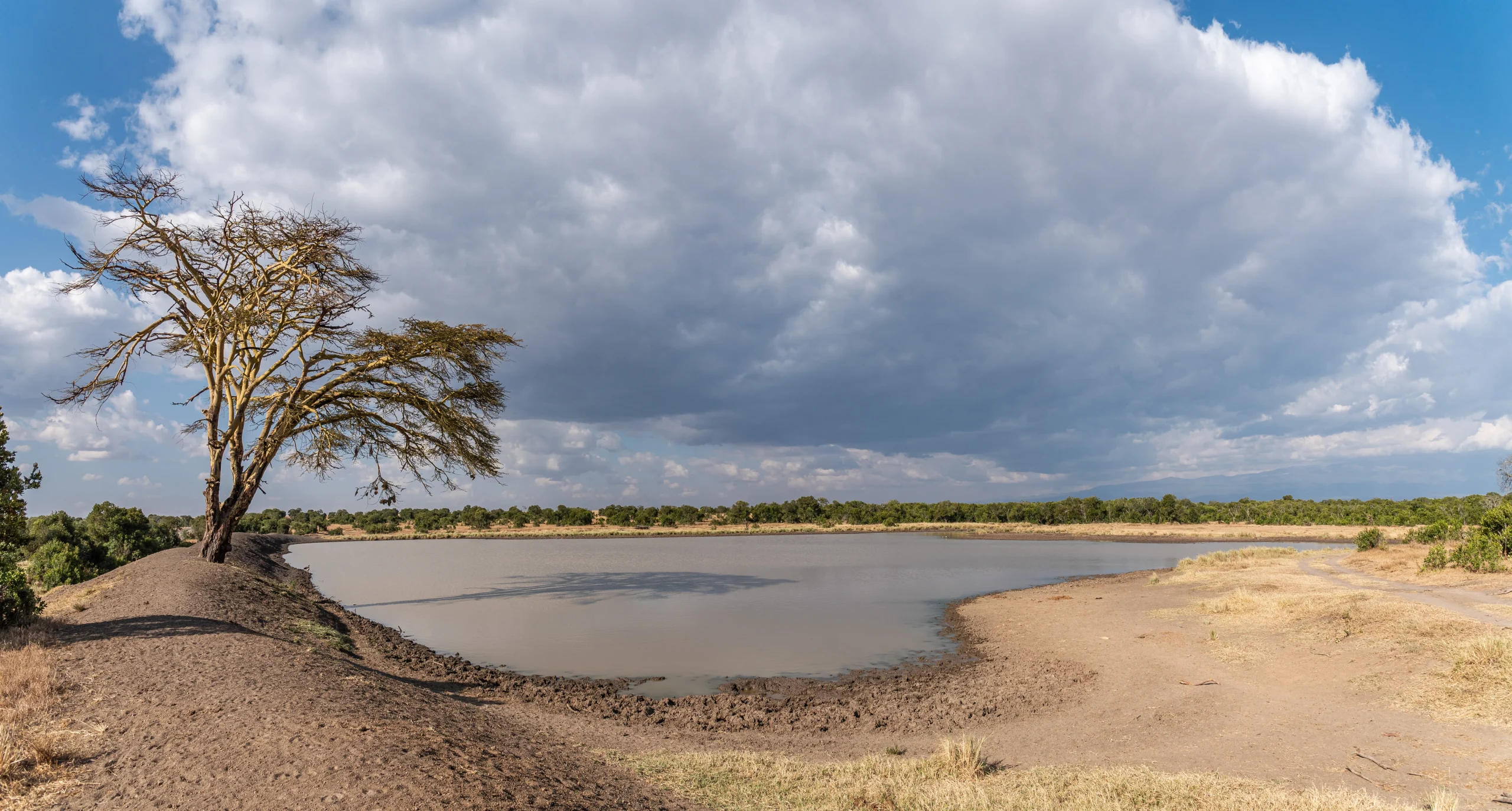 Elephant Dam - Dry Season_2